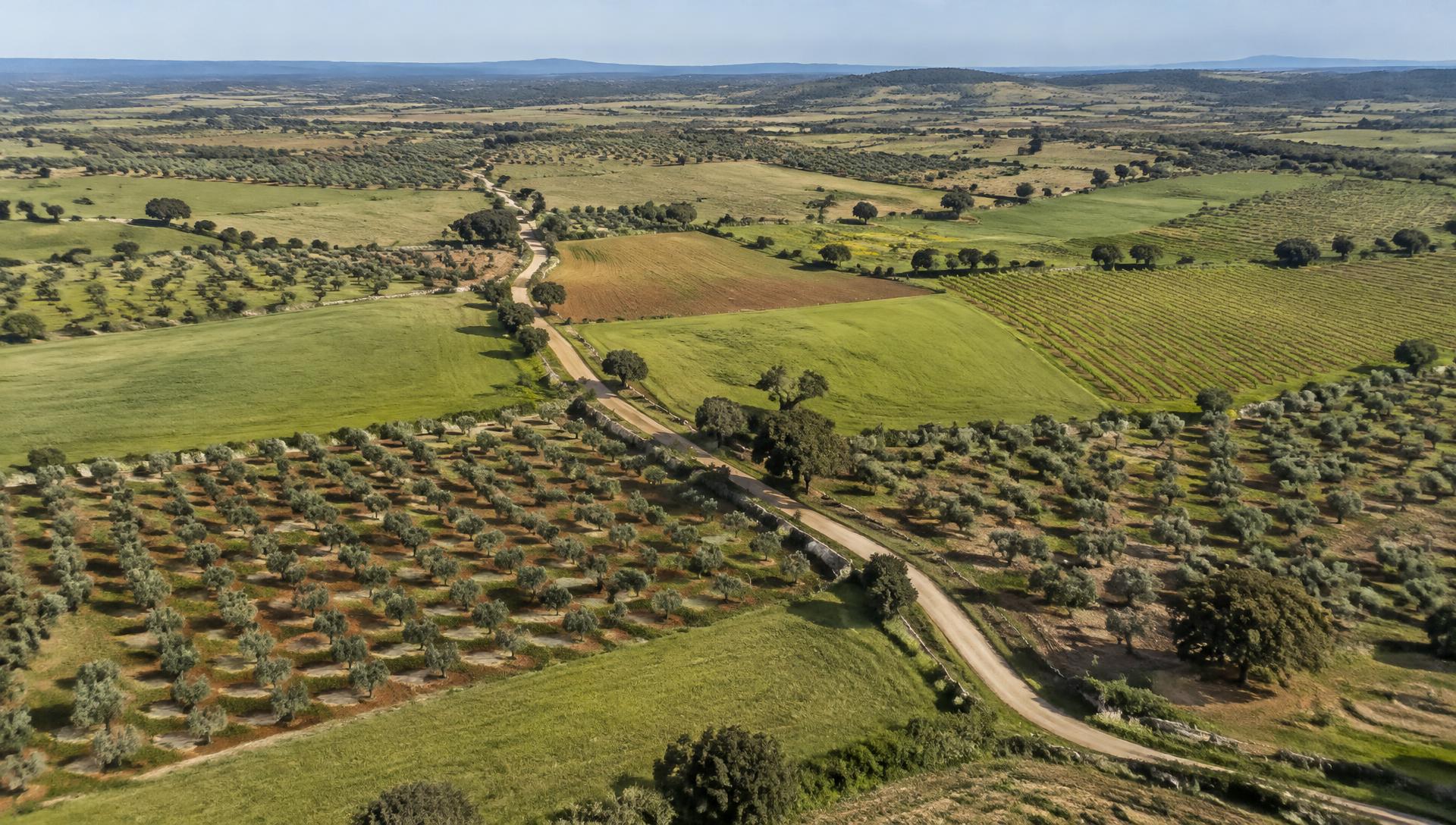 Vista aérea ilustrativa de campos agrícolas e caminhos no Alentejo