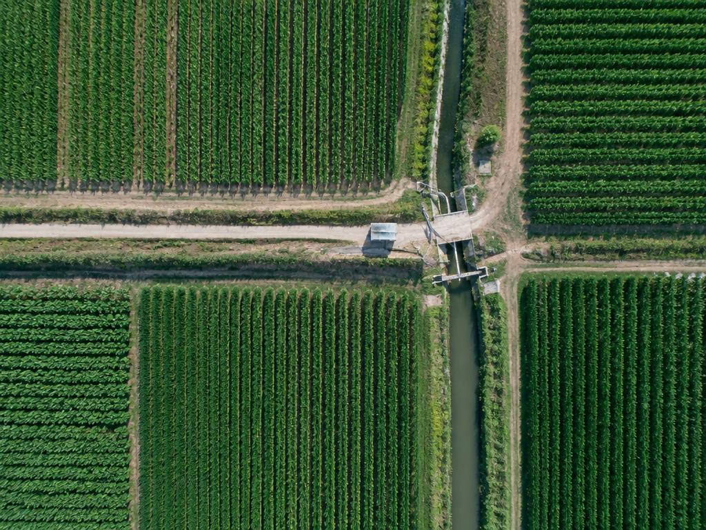 Rede de rega da Barragem de Alvito (~200 km) — Alentejo, Portugal (imagem ilustrativa)